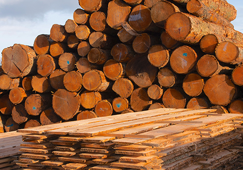 Log pile and milled planks by Wood Art